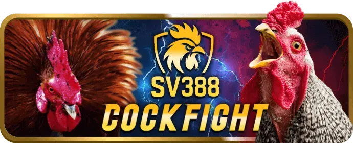Hải Vương helo888 chính thức